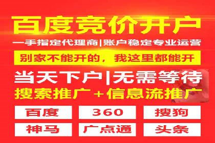 某公司SEM代理策略：实现流量转化